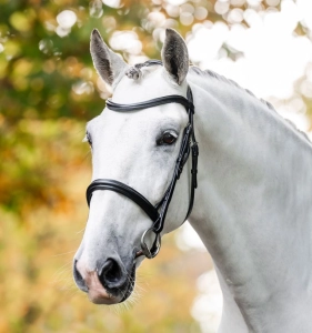 Ogłowie HORSEWARE "Cavesson" czarne