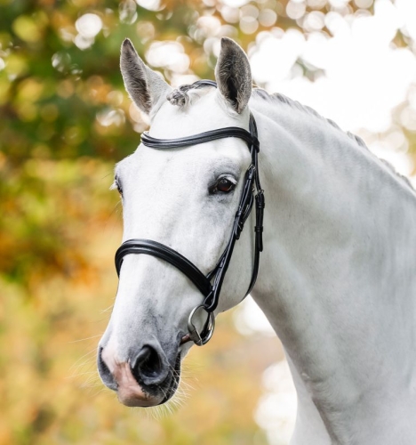 Oglowie-HORSEWARE-"Cavesson-czarne-01
