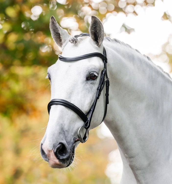 Oglowie-HORSEWARE-"Cavesson-czarne-01