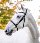 Oglowie-HORSEWARE-"Cavesson-czarne-02
