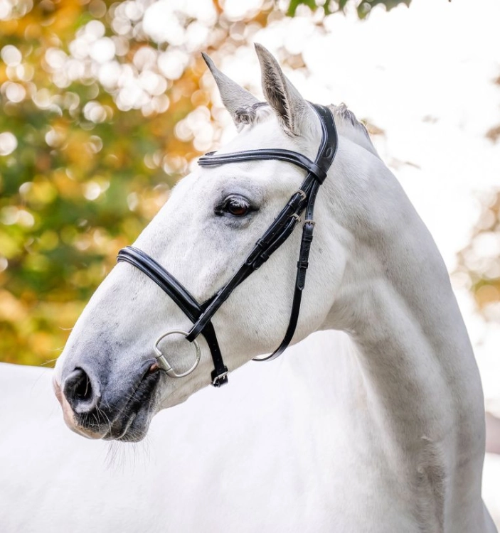 Oglowie-HORSEWARE-"Cavesson-czarne-02