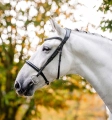 Oglowie-HORSEWARE-"Cavesson-czarne-03