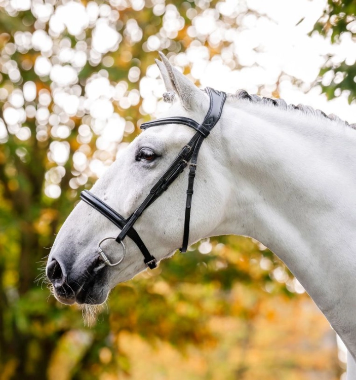 Oglowie-HORSEWARE-"Cavesson-czarne-03