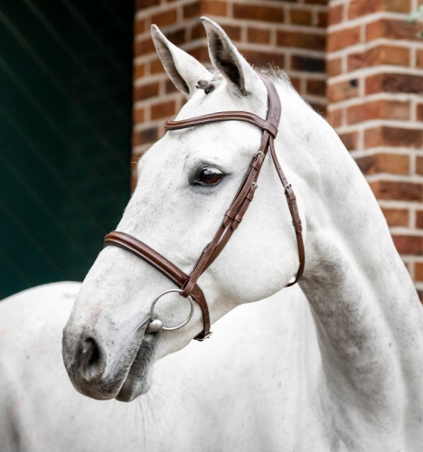 Oglowie-HORSEWARE-Cavesson-brazowe-01
