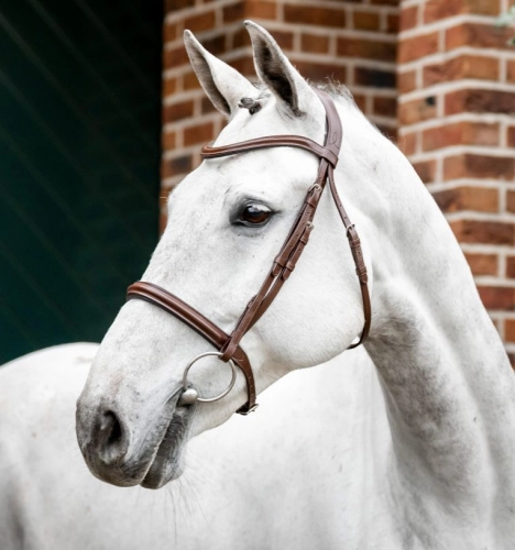 Oglowie-HORSEWARE-Cavesson-brazowe-01