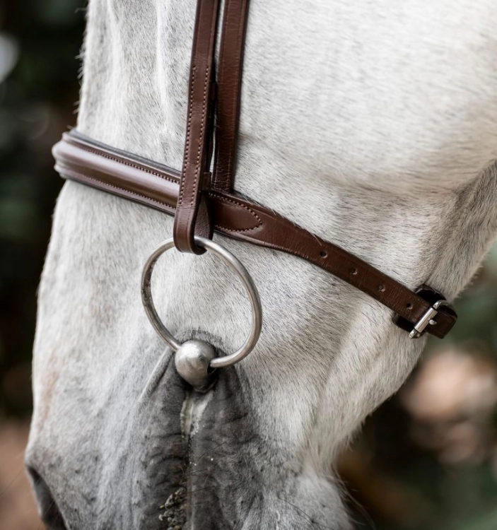 Oglowie-HORSEWARE-Cavesson-brazowe-02