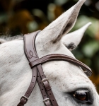 Oglowie-HORSEWARE-Cavesson-brazowe-04