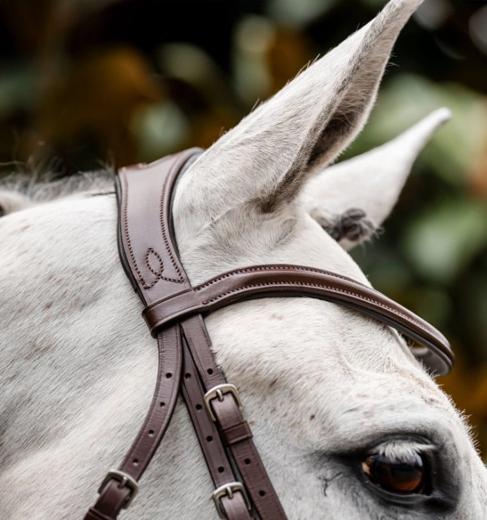 Oglowie-HORSEWARE-Cavesson-brazowe-04
