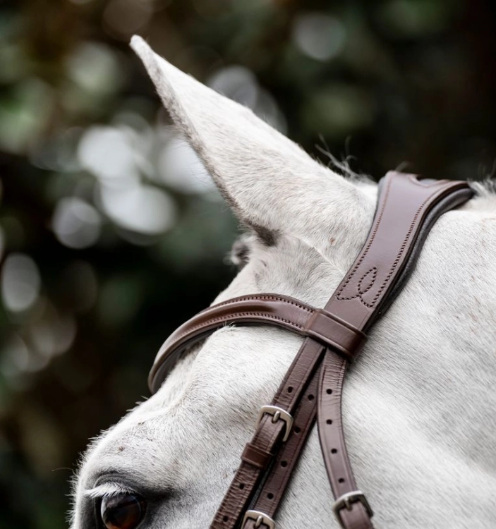 Oglowie-HORSEWARE-Cavesson-brazowe-05