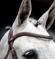 Oglowie-HORSEWARE-Cavesson-brazowe-06