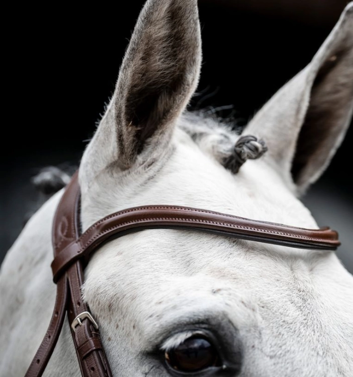 Oglowie-HORSEWARE-Cavesson-brazowe-06