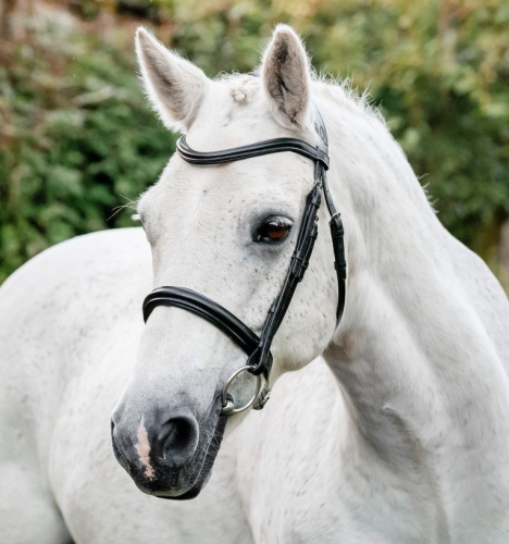 Oglowie-dla-kuca-HORSEWARE-Pony-Cavesson-czarne-01