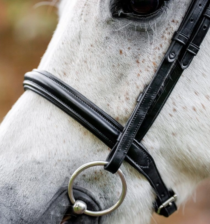 Oglowie-dla-kuca-HORSEWARE-Pony-Cavesson-czarne-02