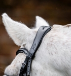 Oglowie-dla-kuca-HORSEWARE-Pony-Cavesson-czarne-03