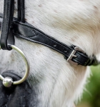 Oglowie-dla-kuca-HORSEWARE-Pony-Cavesson-czarne-04
