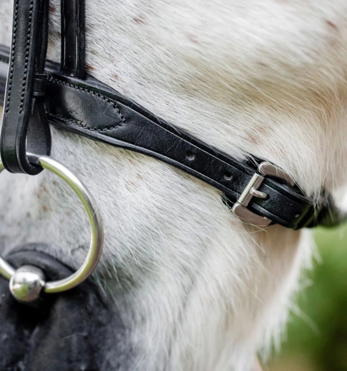 Oglowie-dla-kuca-HORSEWARE-Pony-Cavesson-czarne-04