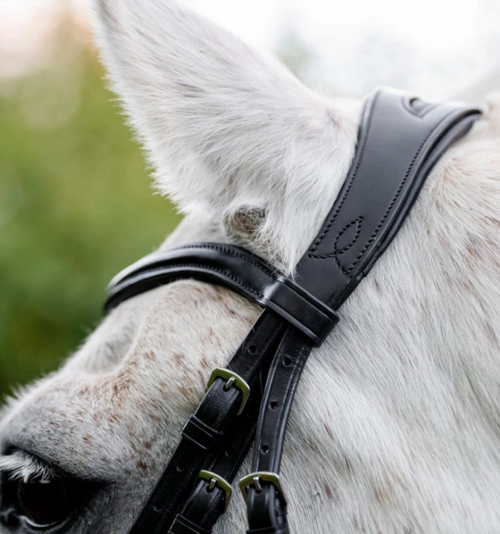 Oglowie-dla-kuca-HORSEWARE-Pony-Cavesson-czarne-05