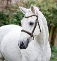 Oglowie-dla-kuca-HORSEWARE-Pony-Cavesson-brazowe
