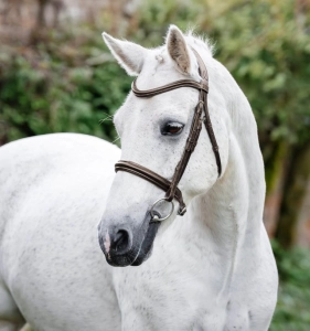 Ogłowie dla kuca HORSEWARE "Pony Cavesson" brązowe