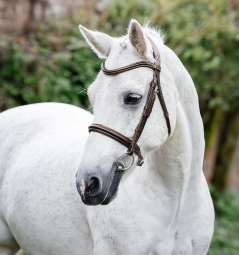 Oglowie-dla-kuca-HORSEWARE-Pony-Cavesson-brazowe