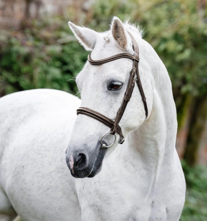 Oglowie-dla-kuca-HORSEWARE-Pony-Cavesson-brazowe