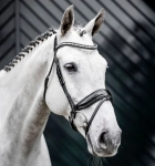 Ogłowie HORSEWARE "Diamante Flash" black-silver