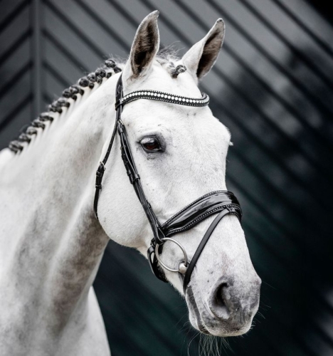 Oglowie-HORSEWARE-Diamante-Flash-black-silver