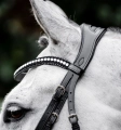 Oglowie-HORSEWARE-Diamante-Flash-black-silver