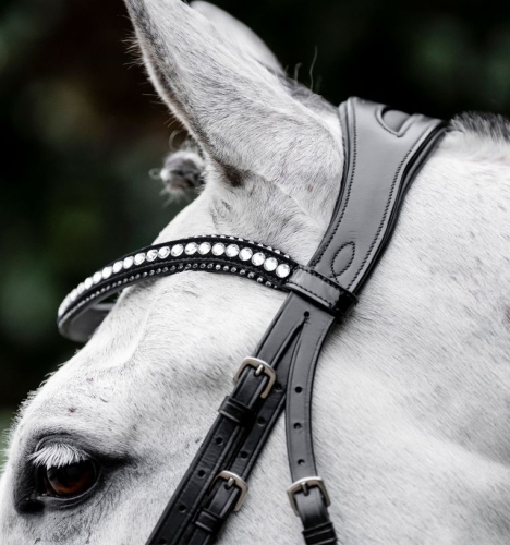 Oglowie-HORSEWARE-Diamante-Flash-black-silver