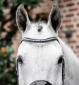 Oglowie-HORSEWARE-Diamante-Flash-black-silver