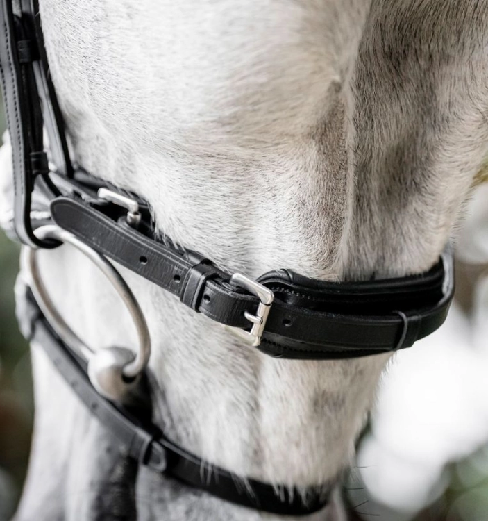 Oglowie-HORSEWARE-Diamante-Flash-black-silver