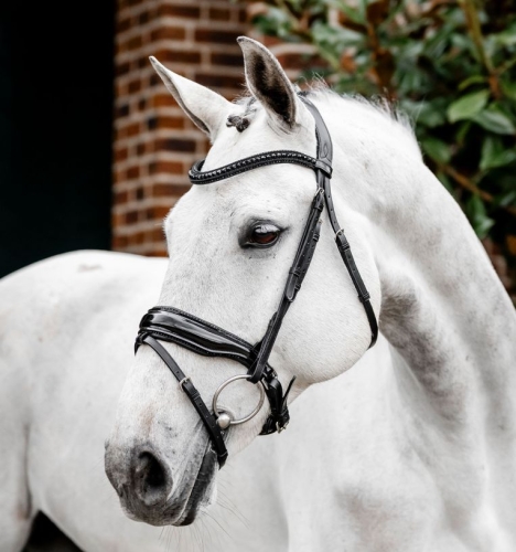 Oglowie-HORSEWARE-Diamante-Flash-black-black-01