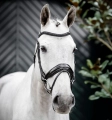 Oglowie-HORSEWARE-Diamante-Flash-black-black-02