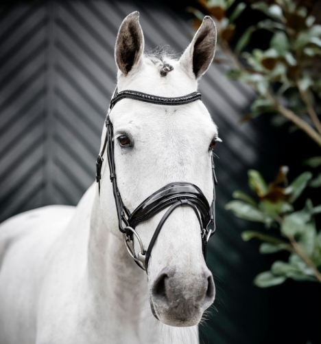 Oglowie-HORSEWARE-Diamante-Flash-black-black-02