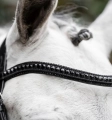 Oglowie-HORSEWARE-Diamante-Flash-black-black-03