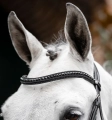 Oglowie-HORSEWARE-Diamante-Flash-black-black-04