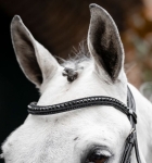 Oglowie-HORSEWARE-Diamante-Flash-black-black-04