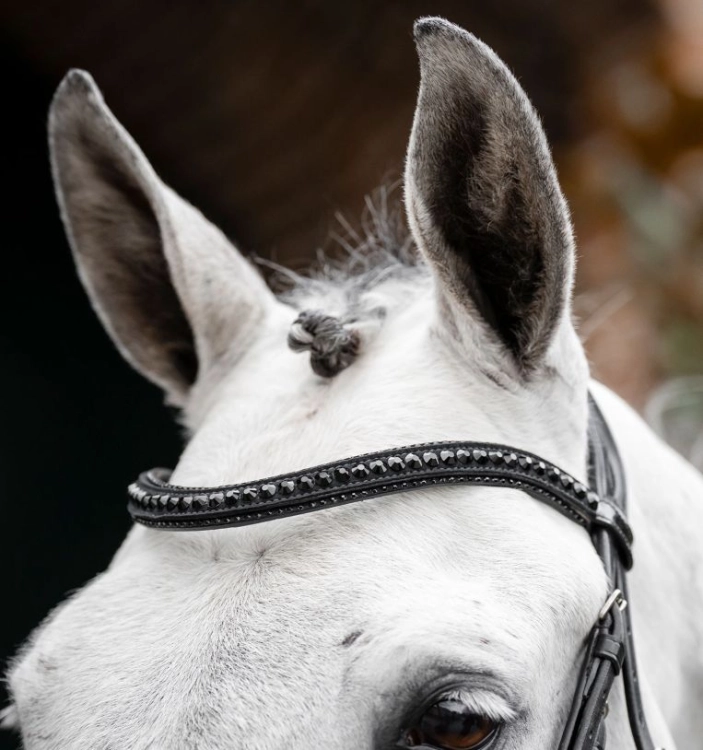 Oglowie-HORSEWARE-Diamante-Flash-black-black-04