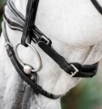 Oglowie-HORSEWARE-Diamante-Flash-black-black-05