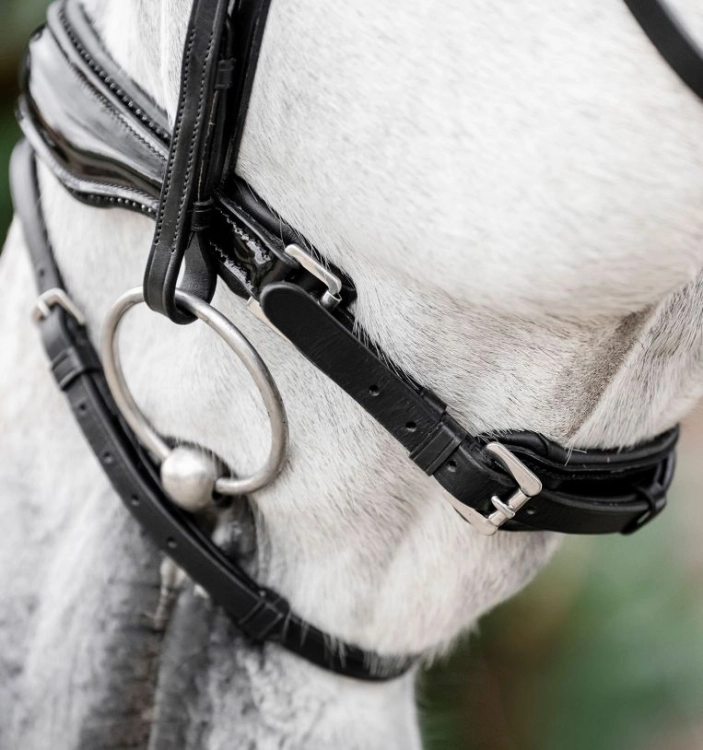 Oglowie-HORSEWARE-Diamante-Flash-black-black-05