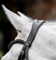 Oglowie-HORSEWARE-Diamante-Flash-black-black-06