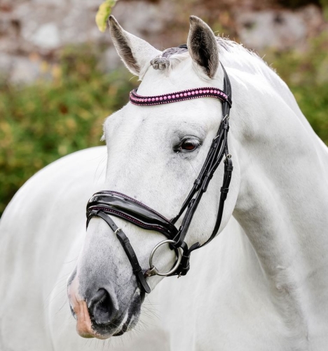 Oglowie-HORSEWARE-Diamante-Flash-black-pink-02