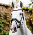 Oglowie-HORSEWARE-Diamante-Flash-black-pink-03