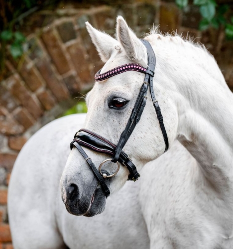 Oglowie-dla-kuca-HORSEWARE-Pony-Diamante-Flash-black-pink-01