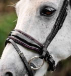 Oglowie-dla-kuca-HORSEWARE-Pony-Diamante-Flash-black-pink-03