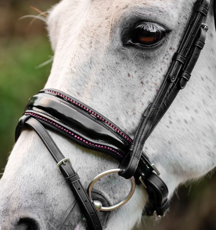 Oglowie-dla-kuca-HORSEWARE-Pony-Diamante-Flash-black-pink-03