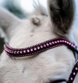 Oglowie-dla-kuca-HORSEWARE-Pony-Diamante-Flash-black-pink-04