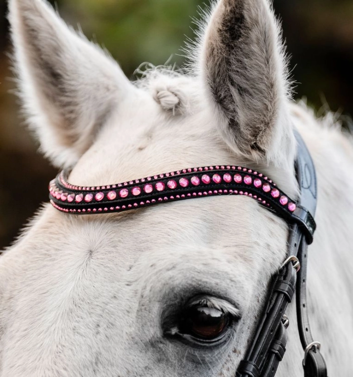 Oglowie-dla-kuca-HORSEWARE-Pony-Diamante-Flash-black-pink-05