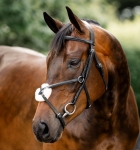Oglowie-meksykanskie-HORSEWARE-Figure-8-Grackle-01