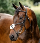Ogłowie meksykańskie HORSEWARE "Figure 8 Grackle" czarne